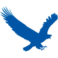 تحميل برنامج EagleGet من ميديا فاير