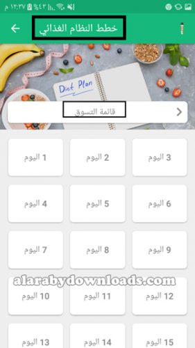 النظام الغذائي اليومي في برنامج الرجيم للجوال _ نظام غذائي صحي يومي
