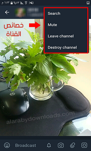 التحكم في خصائص القنوات - تحميل برنامج تليجرام مكرر للأندرويد Telegram X