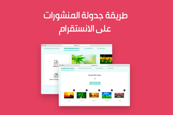 برنامج جدولة منشورات انستقرام