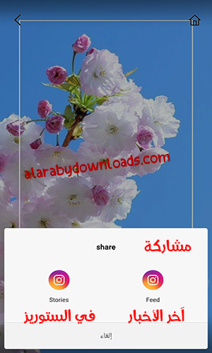 تصميم بوستات انستقرام اجمل ستوري انستقرام insta story