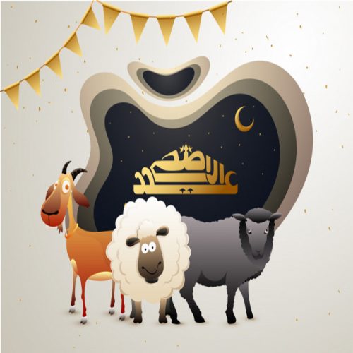 رسائل تهنئة الأهل والأصدقاء مسجات تهنئة حصرية