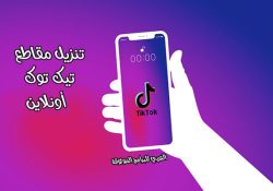 طريقة حفظ مقاطع تيك توك بدون علامة مائية اونلاين وبدون حقوق Tik Tok Downloader