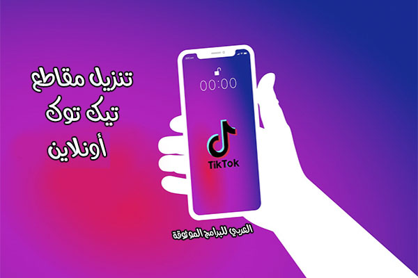 تنزيل فيديو تيك توك - بدون علامة مائية savetik