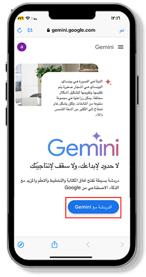 الدردشة مع Gemini