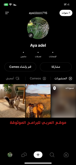 الملف الشخصي في برنامج Sora ai