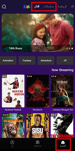 مكتبة أفلام ومسلسلات ضخمة عبر netfly tv