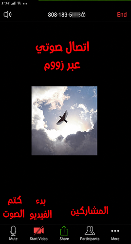 عقد اجتماعات صوتيو ومرئية اونلاين